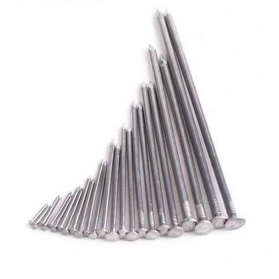 China Factory direct sales low cost flat stainless electro galvanized steel nail for industry for sale