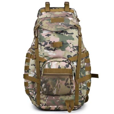 China Polyester Multifunctional Outdoor Sport Waterproof Backpack Bags Adjustable Shoulder Military Camping Rucksack for sale