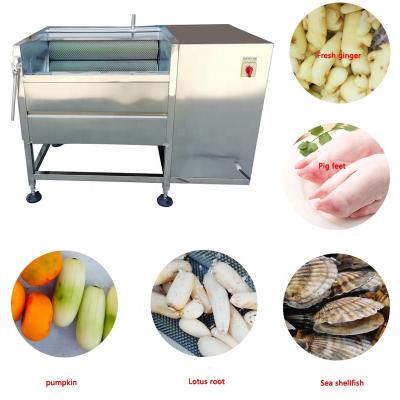 China Hotels Industrial Brush Washing And Peeling Machine For Fruits And Vegetables for sale