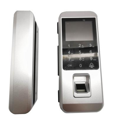 China Fingerprint Home Smart Glass Digital Device Door Lock Office Apartments Hotel Home and Hotel Door Lock System for sale