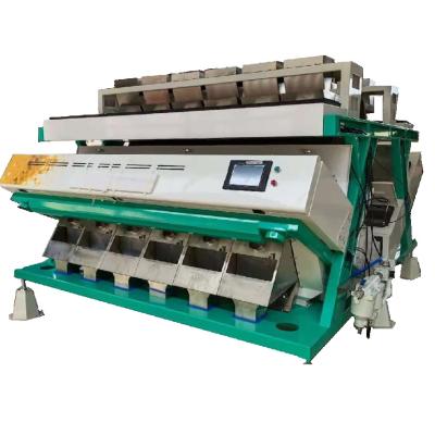 China Machinery Repair Shops 12 Channel Garlic Color Sorter Sunflower Seeds Color Sorter Rice Color Sorter for sale