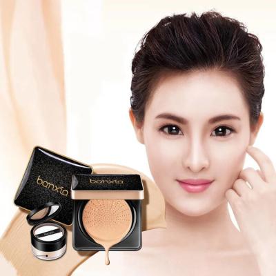 China Luxurious Waterproof Foundation Cream Air Cushion BB Cream Set for sale