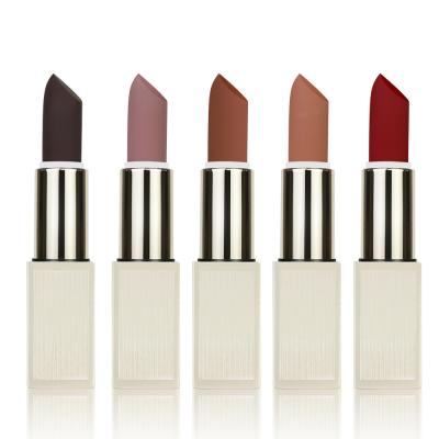 China 5 Farblanglebiger Lippenstift-Lippenmagnet-flüssiger Lippenstift für Erwachsene zu verkaufen