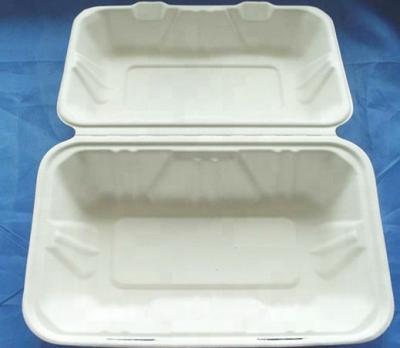 China Wholesale Biodegradable Food Container Biodegradable Lunch Box for sale