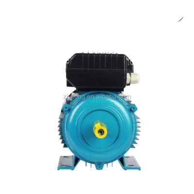 China Taizhou Waterproof Ce 1400 2800 Single Phase 120 Rpm 60Hz 350 550 750 1500 Watt 750W 3000W 1.5Kw 3Kw 1Hp 0.25 0.5 1 3 1/2 Hp Electric Motors for sale