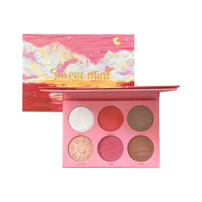 China 2 Waterproof Blushes 4 Highlighter Bars Portable Mini Beautiful Blushes, Highlighting and Contouring Private Label for sale