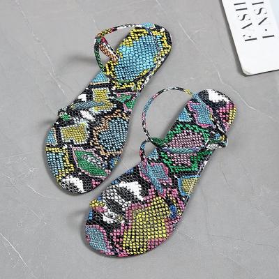 China Fashion Trend Serpentine Filp Flop Women Flat Summer Sandals Women Shoes for sale