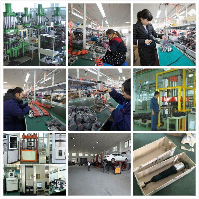 Verified China supplier - GUANGZHOU BOLEMA BUSINESS FIRM