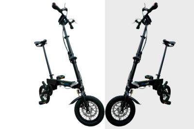 China Economical 12 Inch Folding Bike , Small Easiest Folding Bike For Students for sale