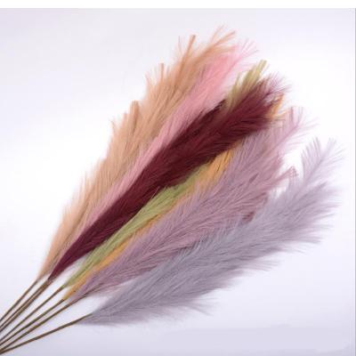 China Wedding Party Decoration Artificial Natural Pampas Grass Flower Longstar Artificial Pampas Grass for sale