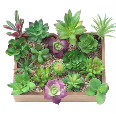 China Mini Minimalist Wholesale Artificial Succulent Plants For Outdoor Decoration for sale