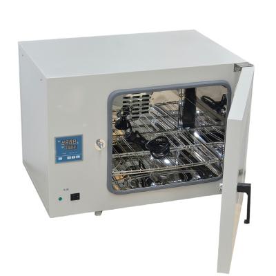 China Medicine Curing DHG Series Lab Price Small Lab Hot Heating And Air Oven for sale