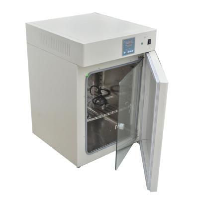 China Medicine Curing DHG-9240A Price Laboratory Heating Electric Constant Temperature Blast Drying Oven Price for sale