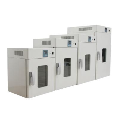 China Medicine Curing DHG Heating Constant Temperature Blast Drying Oven Vertical Electric Lab for sale