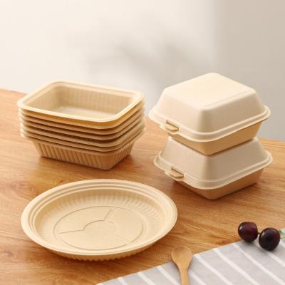 China Freshness Preservation Eco Friendly Compostable To Go Containers Disposable Food Packaging Boxes for sale