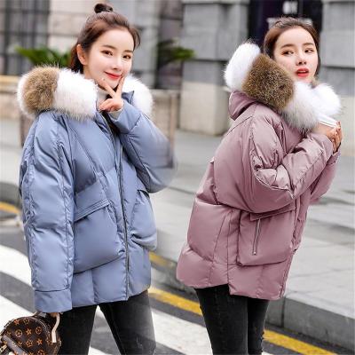 China 2022 Viable Women's Down Jacket Cotton Casual Women's Long Hooded Parkas Women's Jacket And Coats for sale