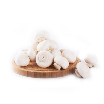 China High quality hot sale FROZEN low price mushroom agaricus bisporus mushroom spawn for sale