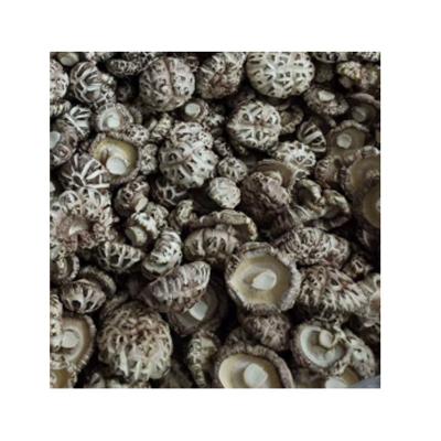 China Dry edible mushrooms spreads shiitake mushroom dry dry mushrooms for sale