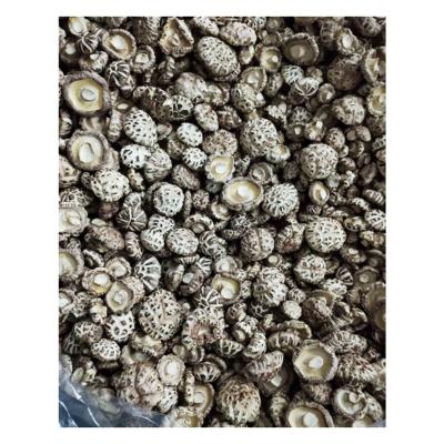 China Wholesale Natural Fresh Organic Dry Shiitake Mushroom Dried for sale