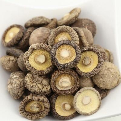 China Dried Mushroom Organic Food Chinese Mushroom for sale