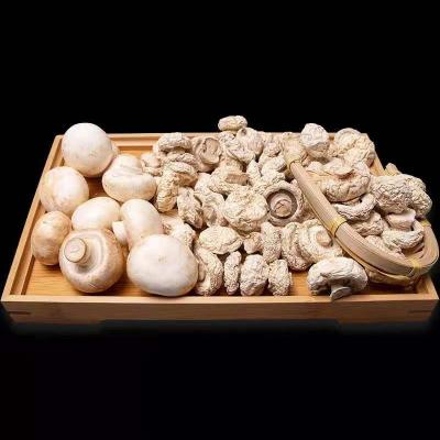 China China Dried Dried White Mushrooms Raw Type Original Life Dried BRC Product Location HACCP Source for sale