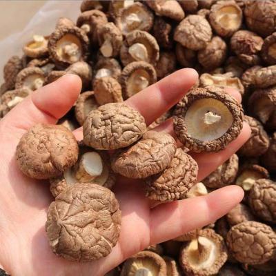 China Dry brown shiitake mushroom for sale