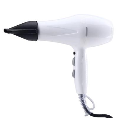 China Professional Private Label AC Motor Ionic Hair Dryer Salon Blow Dryer Hair Blow Dryer Factory Wholesale Customize Order for sale