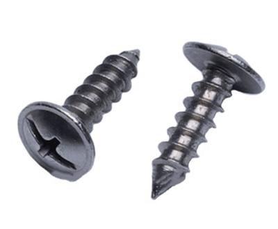 China Stainless Steel Phillips Pan Head Self Tapping Metric Screw for sale