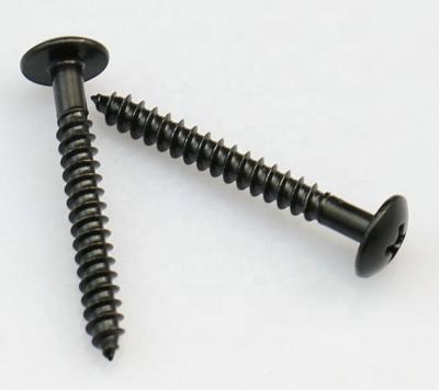 中国 Pan Cross Phillips Pan Head Wood Covering Tornillo Waterproof Screws For Wood 販売のため