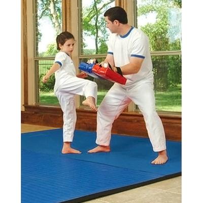 China Eco-Friendly Customize Martial Arts Roll Mat Gymnastics Judo Mat Taekwondo Fighting Xpe Sanda Wrestling Mat for sale