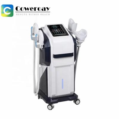 Κίνα 2 σε 1  Cryolipolysis Fat Freezing Vacuum Therapy Machine κατασκευαστής προς πώληση