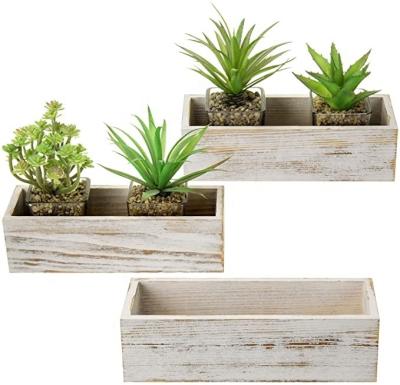 China Modern Rectangular Succulent Display Pots Bleached Wood Rustic Planter Box for sale