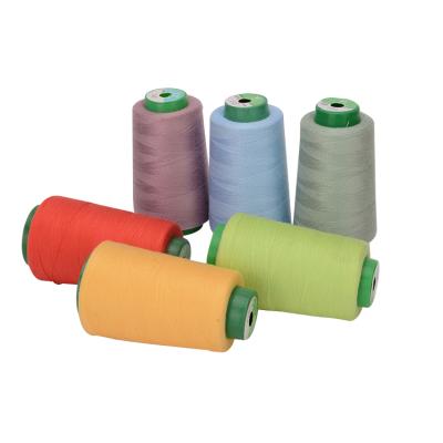 China 100% Polyester Abrasion-Resistant Hand Knitting Cotton Sewing Thread For Bedspread for sale