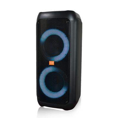 China FEIYANG BT BT PA DJ Bass Party Karaoke Home Theater Speaker Double 6 Inch Maker Portable Wireless HiFi Sound Subwoofer Radio Indoor Speaker for sale