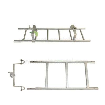 China Ringlock Scaffolding System Industrial Certified Steel Ladder (Exp 20+ Years, HDG) for sale