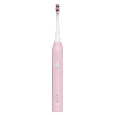 China Electric toothbrush for adults good quality rechargeable a variety of colors to choose wholesale electric toothbrushes for sale