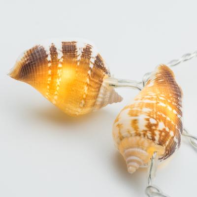 China 16L nature shell LED chian battery operated indoor fancy light chain with sea theme for sale