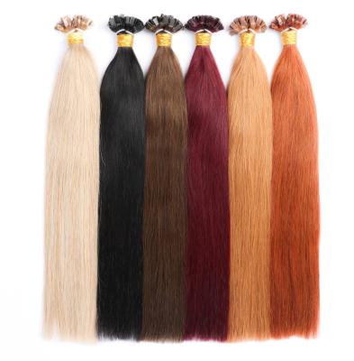 China Clean Soft Factory Human Wig Extension Direct Sellers Tip Flat Cheap Hair Extension for sale