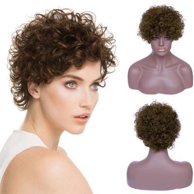 China Fashion Wholesale Foreign Trade Bestselling Wigs Short Curly Hair Wig Afro Kinky Part And Daily Wigs For Woman for sale