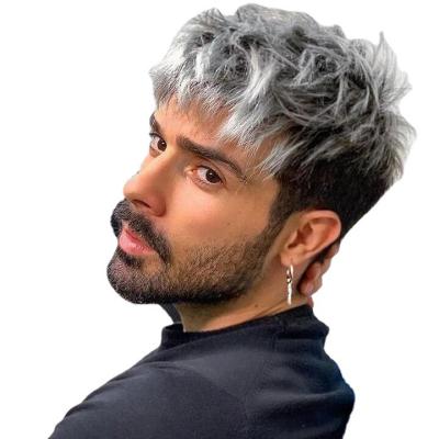 China Fashion Wholesale Synthetic European and American Men's Wigs Silver Gray Short Hair Wig Cosplay Wigs for sale