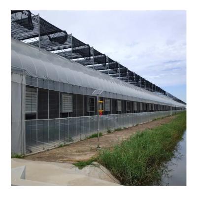 China Stable Structure Easily Assembled Hydroponics Hot System Greenhouse Plastic Sheet Garden Plastic Greenhouse China Sale Agricultural Greenhouses for sale