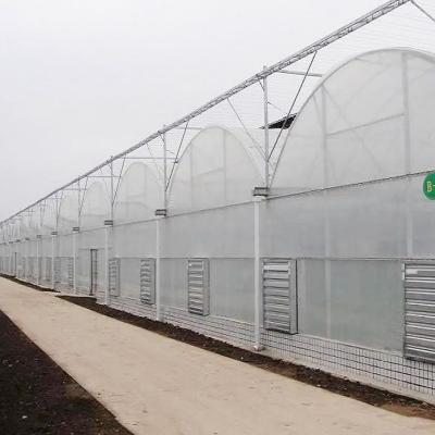 China Stable Structure Easily Assembled Greenhouse Glass Greenhouse Circulation Fan Grow Cabinet Hidroponia Tunnel Greenhouse for sale