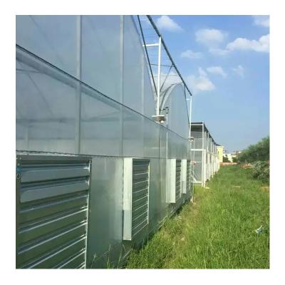 China Stable Structure Easily Assembled Chinese Aluminum Greenhouse Nonwoven Table Cloth for Rolling Up Growing Equipment Greenhouse Garden for sale