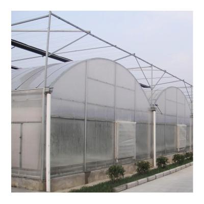 China Stable Structure Easily Assembled Agricultural Greenhouses Garden Greenhouse Hydroponics System Flower Seeds for sale