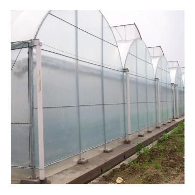 China Stable Structure Easily Assembled Poly Size Quality Low Cost Multispan Greenhouse Greenhouses Multi-span Greenhouses for sale