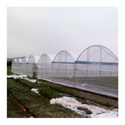 China Stable Structure Easily Assembled High Quality Greenhouse Tunnels Greenhouse Multi-Span Vertical Farm Greenhouses Invernadero for sale