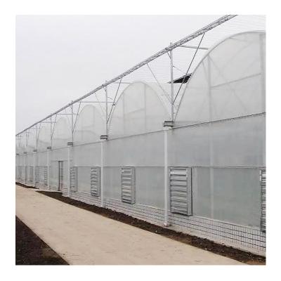 China Stable Structure Easily Assembled Chinese Agricultural Aquaponics Greenhouses Multi-span Microgreen Hydroponic Greenhouses for sale