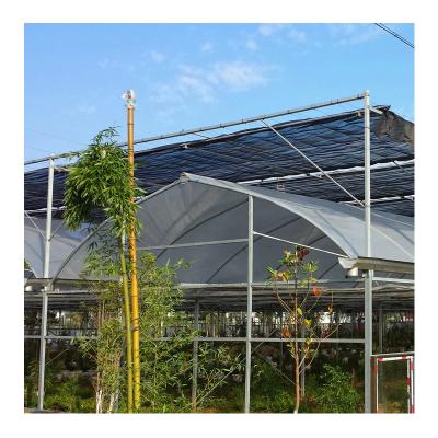 China ZD-DP15 Multi Span Plastic Greenhouse Plastic Sheet PC Tunnel Agriculture Transparent Flowers Fruit Greenhouse for sale