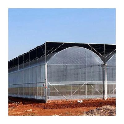 China ZD-DP26 Vegetable Flowers Fruit Plastic Sheet Tomato Agricultural Greenhouse Turnkey Project With Quick Build for sale