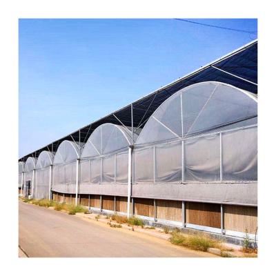 China Stable Structure Easily Assembled Sheet Greenhouse Plastic Greenhouses Multi-span Sale Agricultural Greenhouses for sale